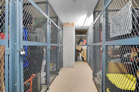 Tiny photo for 245 S Park Lane #321, Palatine, IL 60074 (MLS # 12576335)