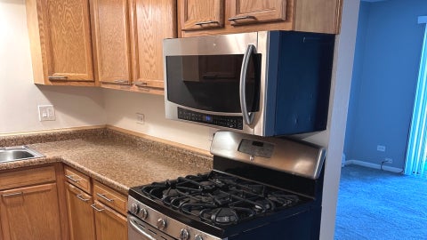 Tiny photo for 7005 99th Street #4, Chicago Ridge, IL 60415 (MLS # 12652050)