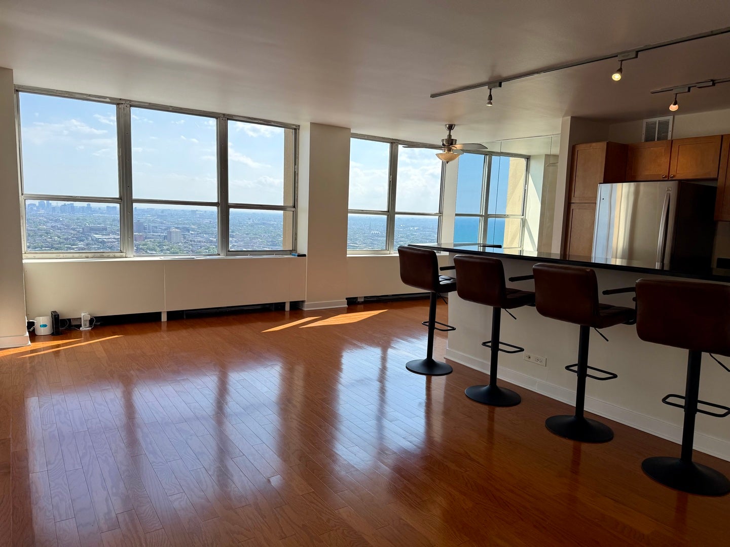 655 W Irving Park Road 4113