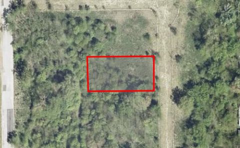 MLS: 12595433