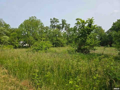 Tiny photo for 1489 E 273RD Lane, Clayton, IL 62324 (MLS # QC4266727)