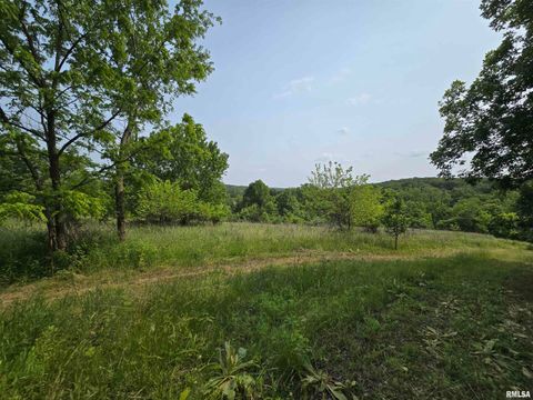 Tiny photo for 1489 E 273RD Lane, Clayton, IL 62324 (MLS # QC4266727)