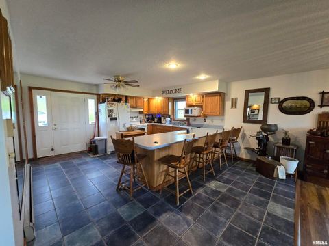 Tiny photo for 1489 E 273RD Lane, Clayton, IL 62324 (MLS # QC4266727)