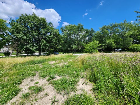 Photo of 26114 S Victoria Lane, Crete, IL 60417 (MLS # 12789224)