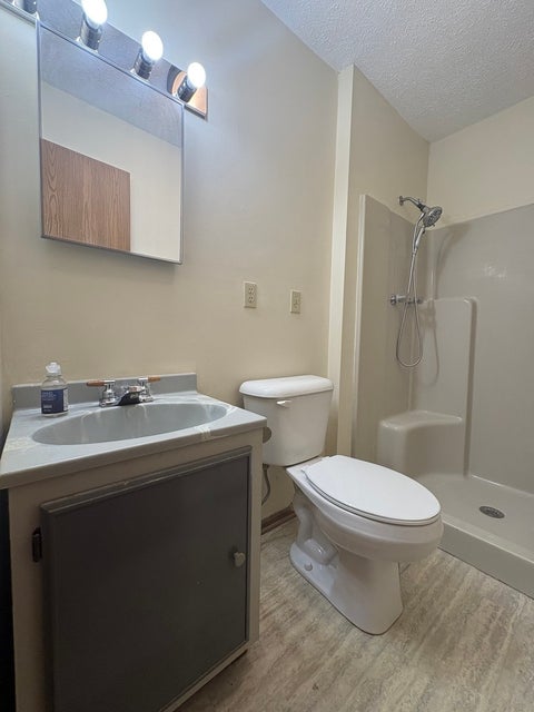 Tiny photo for 800 Cotton Street, Streator, IL 61364 (MLS # 12682117)