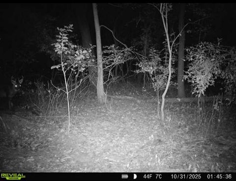 Tiny photo for 34531 S Lakeside Terrace, Wilmington, IL 60481 (MLS # 12508498)