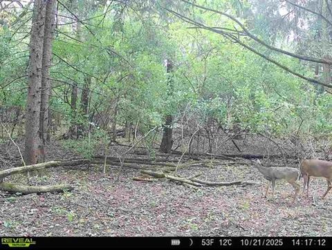 Tiny photo for 34531 S Lakeside Terrace, Wilmington, IL 60481 (MLS # 12508498)