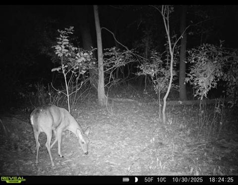 Tiny photo for 34531 S Lakeside Terrace, Wilmington, IL 60481 (MLS # 12508498)