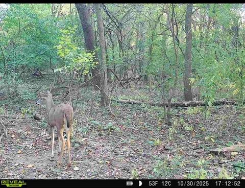 Tiny photo for 34531 S Lakeside Terrace, Wilmington, IL 60481 (MLS # 12508498)