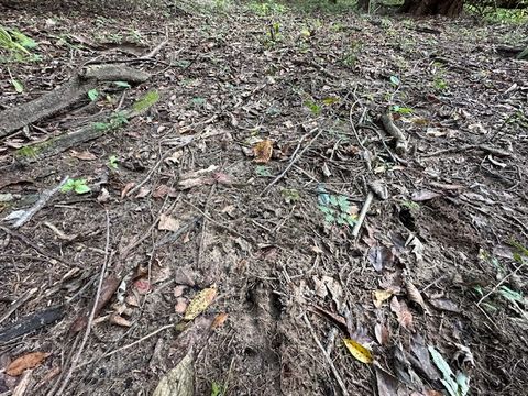 Tiny photo for 34531 S Lakeside Terrace, Wilmington, IL 60481 (MLS # 12508498)