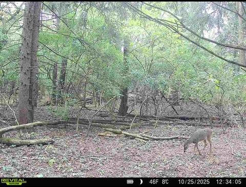 Tiny photo for 34531 S Lakeside Terrace, Wilmington, IL 60481 (MLS # 12508498)