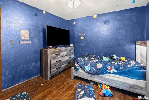 Tiny photo for 103 Middleton Road, Iuka, IL 62849 (MLS # EB460564)