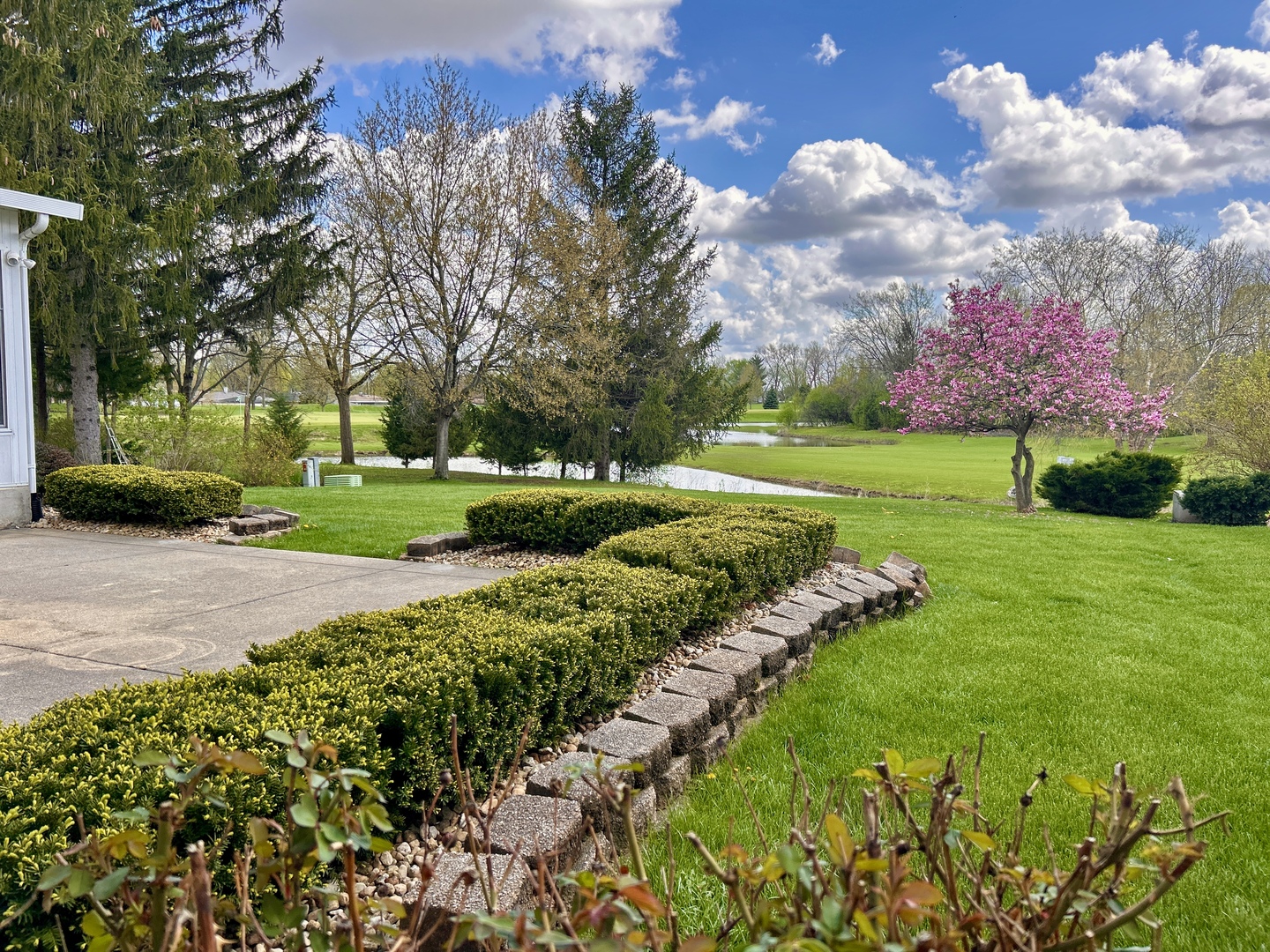 909 W Surrey Road