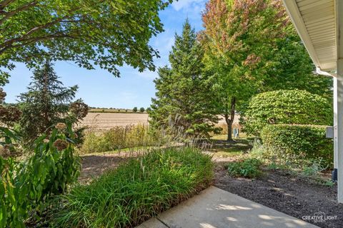 Tiny photo for 124 W Park Avenue #D, Sugar Grove, IL 60554 (MLS # 11939276)