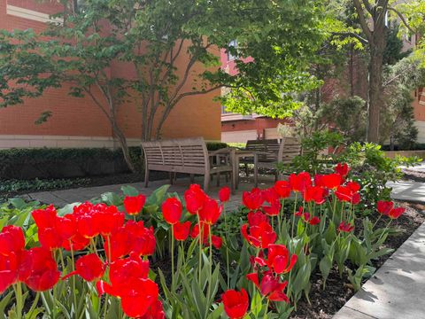 Tiny photo for 501 N Clinton Street #3203, Chicago, IL 60654 (MLS # 12627108)