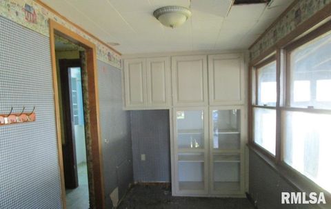 Tiny photo for 504 N COLLEGE Avenue, Aledo, IL 61231 (MLS # QC4264448)