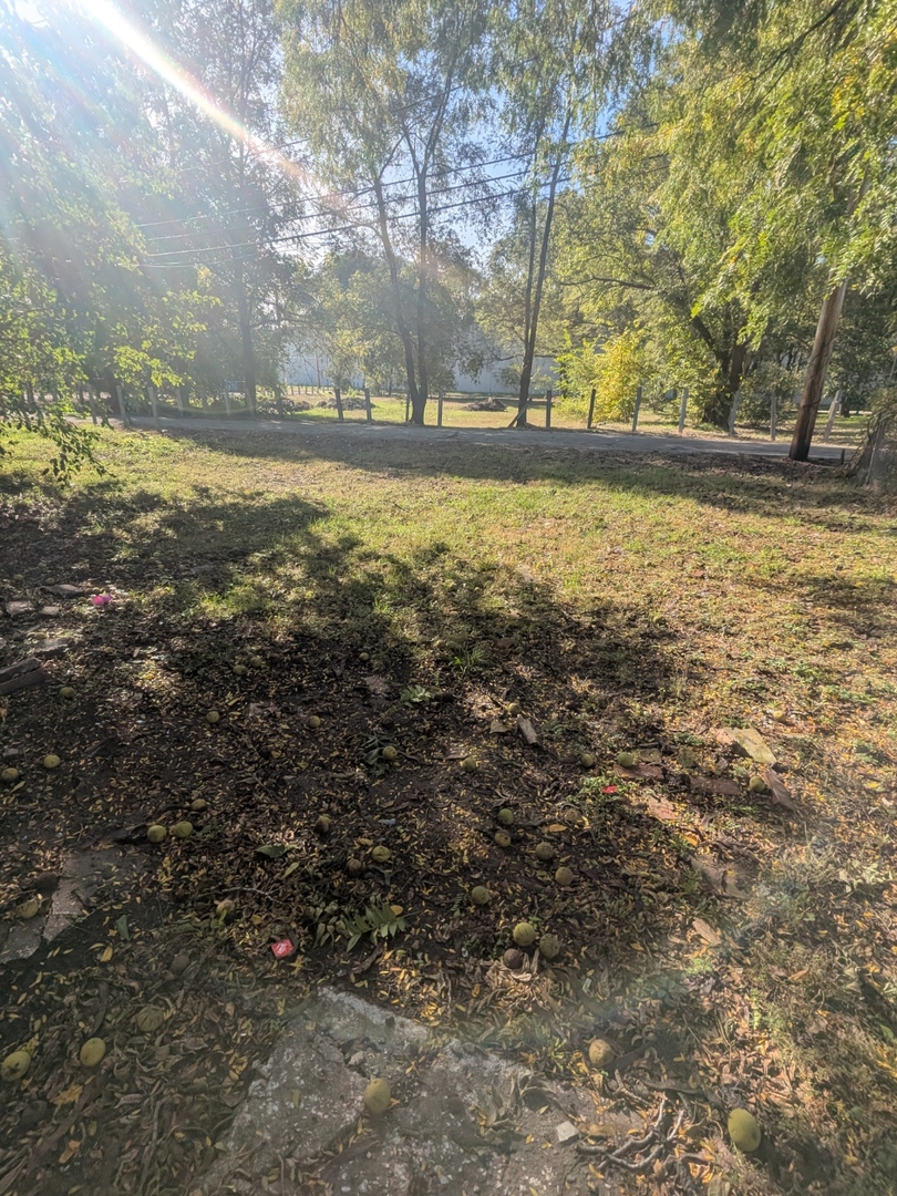 7732 S Normal Avenue