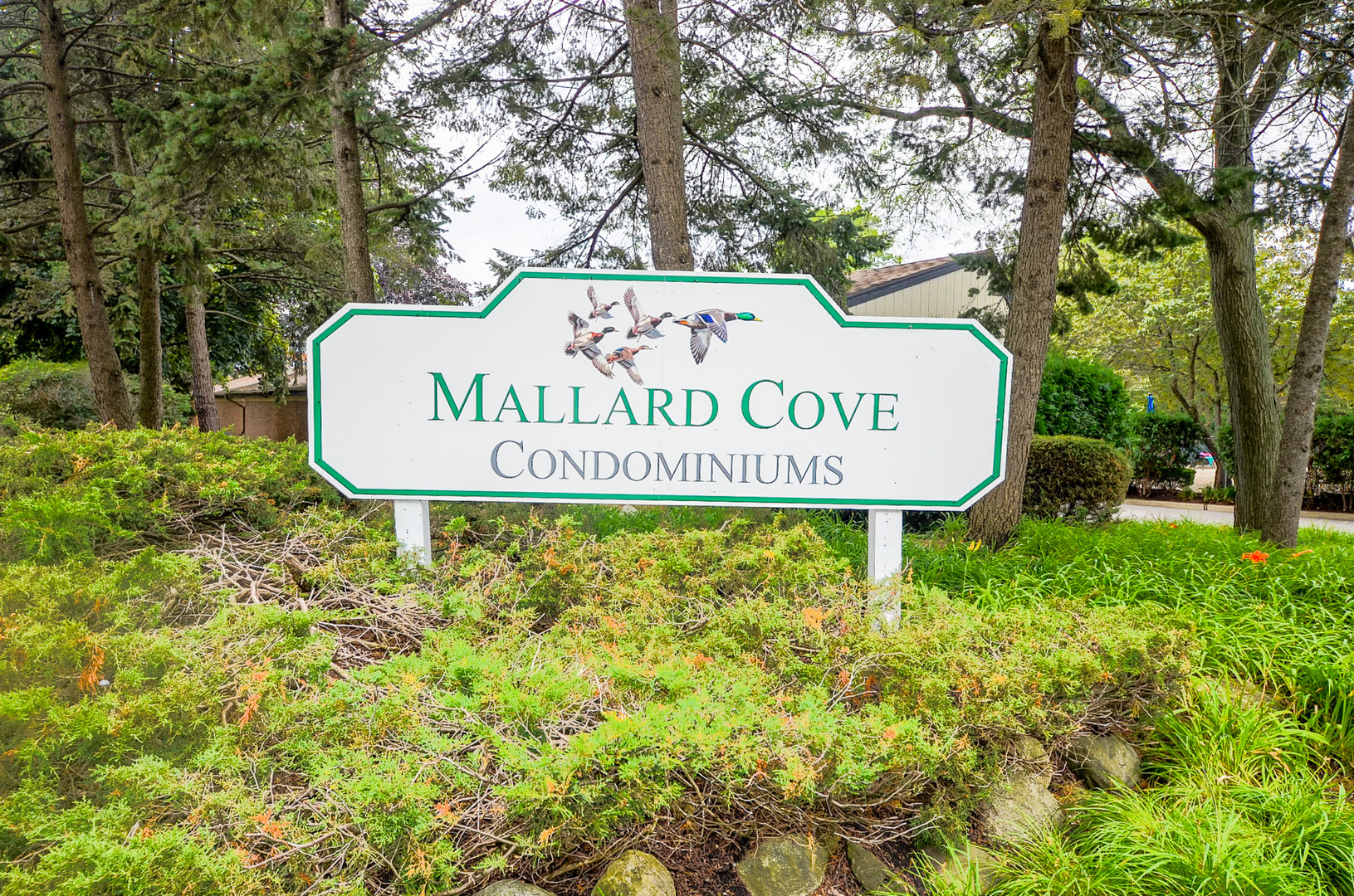 1206 S New Wilke Road 108