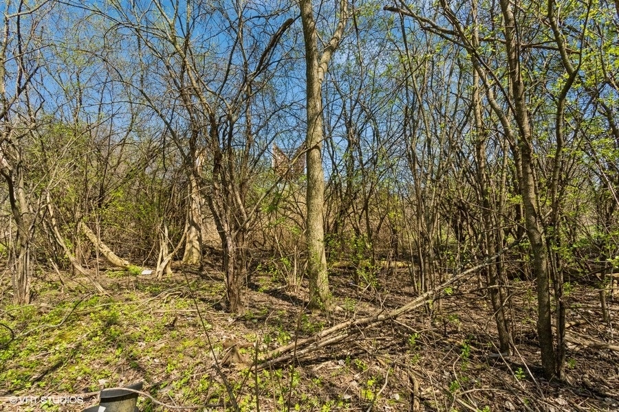 1630 LOT 5 Myrtle  Park Street