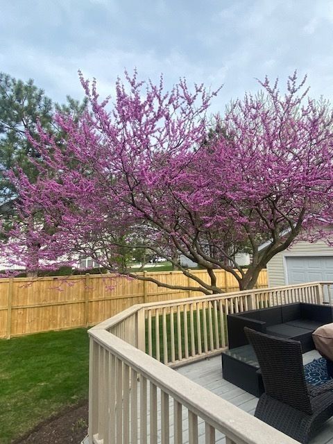 Tiny photo for 100 S Constitution Drive, Aurora, IL 60506 (MLS # 12612438)