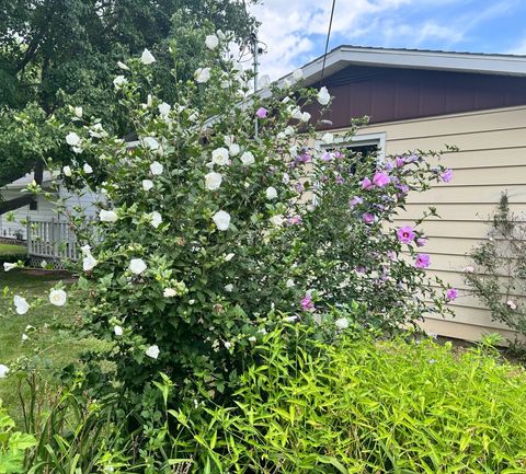 Tiny photo for 905 E Harrison Street, Villa Grove, IL 61956 (MLS # 12697540)