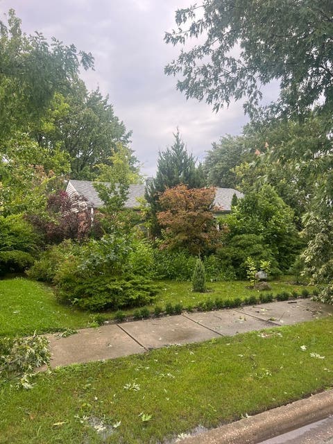 Photo of 18621 Morris Avenue, Homewood, IL 60430 (MLS # 12731532)