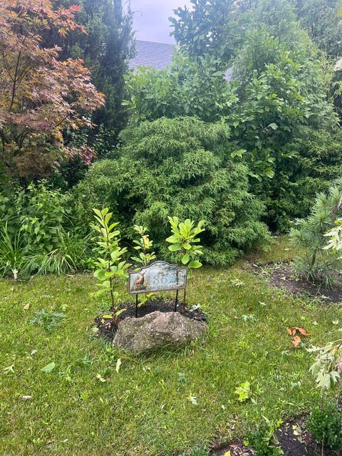 Tiny photo for 18621 Morris Avenue, Homewood, IL 60430 (MLS # 12731532)
