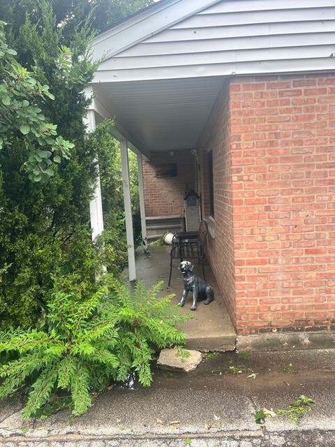 Tiny photo for 18621 Morris Avenue, Homewood, IL 60430 (MLS # 12731532)