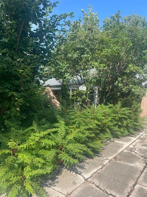 Tiny photo for 18621 Morris Avenue, Homewood, IL 60430 (MLS # 12731532)
