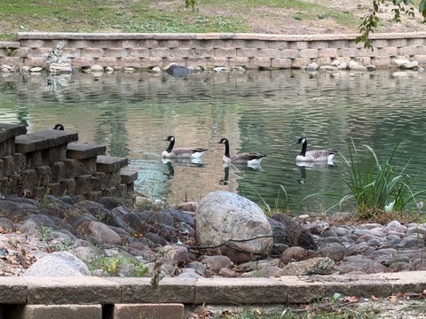 Tiny photo for 164 S Waters Edge Drive #201, Glendale Heights, IL 60139 (MLS # 12728019)
