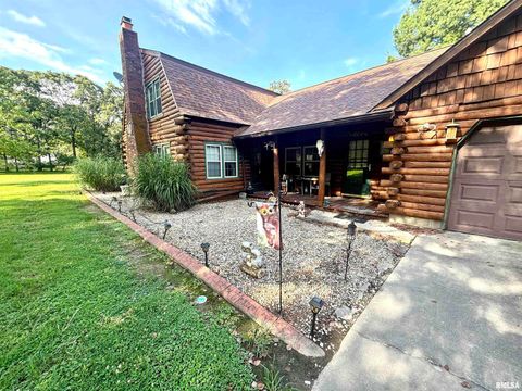 Tiny photo for 3638 Hotze Road, Salem, IL 62881 (MLS # EB458942)