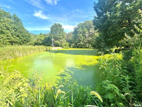 Tiny photo for 3638 Hotze Road, Salem, IL 62881 (MLS # EB458942)