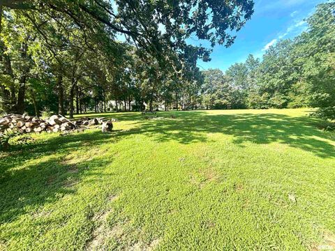 Tiny photo for 3638 Hotze Road, Salem, IL 62881 (MLS # EB458942)