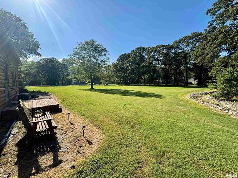 Tiny photo for 3638 Hotze Road, Salem, IL 62881 (MLS # EB458942)