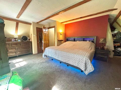 Tiny photo for 3638 Hotze Road, Salem, IL 62881 (MLS # EB458942)