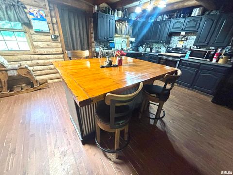 Tiny photo for 3638 Hotze Road, Salem, IL 62881 (MLS # EB458942)