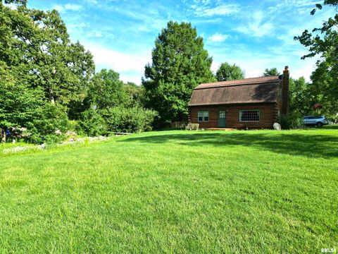 Tiny photo for 3638 Hotze Road, Salem, IL 62881 (MLS # EB458942)