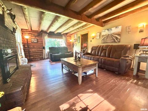 Tiny photo for 3638 Hotze Road, Salem, IL 62881 (MLS # EB458942)