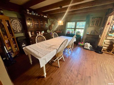 Tiny photo for 3638 Hotze Road, Salem, IL 62881 (MLS # EB458942)