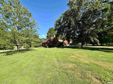 Tiny photo for 3638 Hotze Road, Salem, IL 62881 (MLS # EB458942)