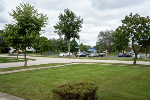 Tiny photo for 1100 Gail Drive, Buffalo Grove, IL 60089 (MLS # 12767808)