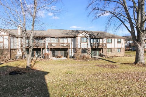 Tiny photo for 275 Wilmette Court #B1, Schaumburg, IL 60193 (MLS # 12546825)
