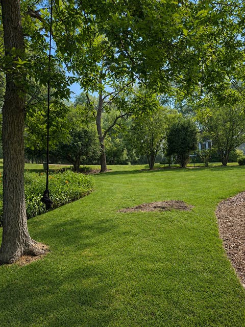 Tiny photo for 264 Biltmore Drive, North Barrington, IL 60010 (MLS # 12700224)