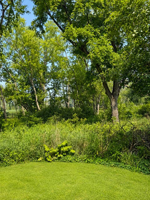 Tiny photo for 264 Biltmore Drive, North Barrington, IL 60010 (MLS # 12700224)