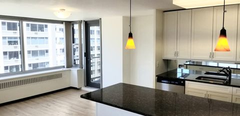 Tiny photo for 4250 N MARINE Drive #1515, Chicago, IL 60613 (MLS # 12642259)