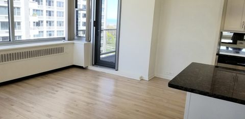 Tiny photo for 4250 N MARINE Drive #1515, Chicago, IL 60613 (MLS # 12642259)