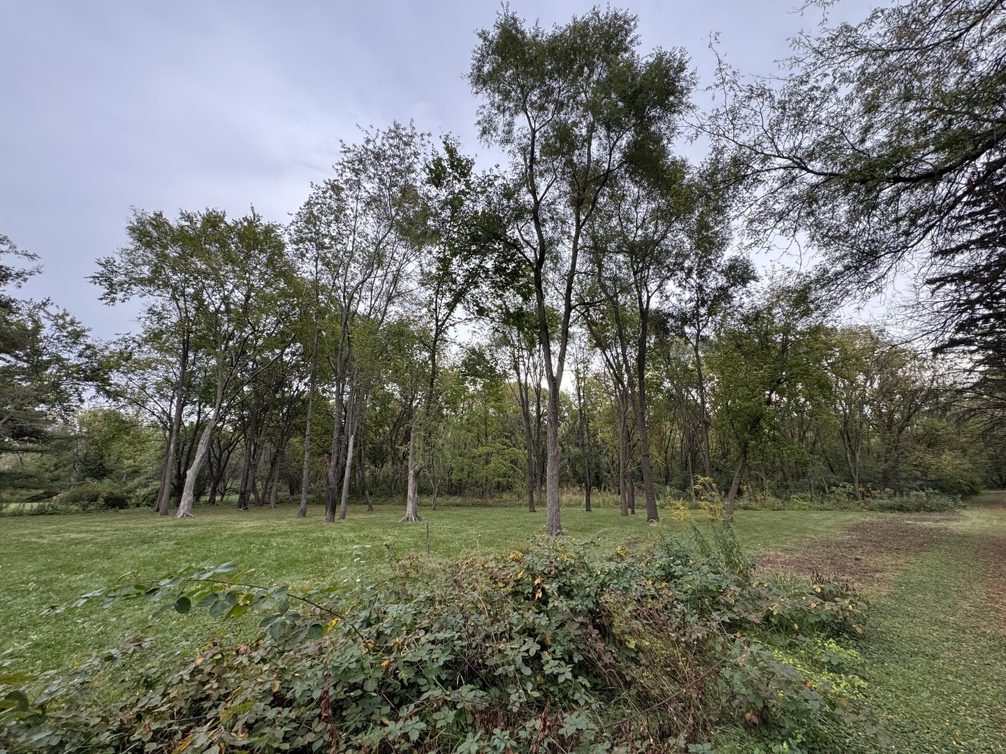 42W613 Meadowsweet Drive