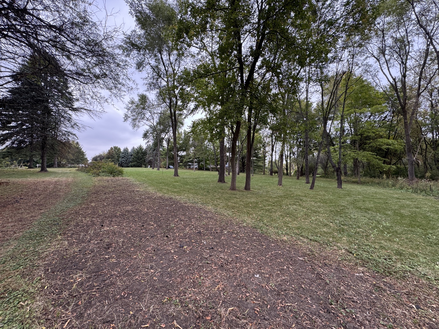 42W613 Meadowsweet Drive