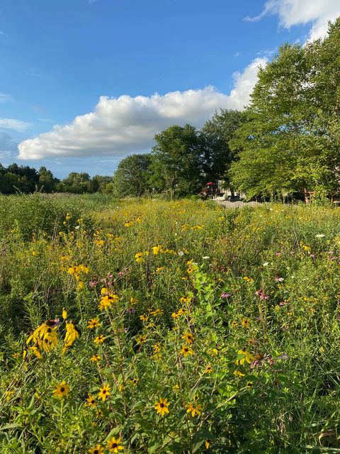 Tiny photo for 39W578 Newton Square, Geneva, IL 60134 (MLS # 12588528)