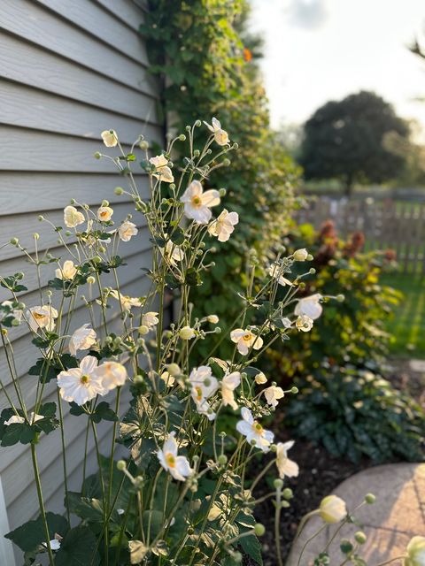 Tiny photo for 39W578 Newton Square, Geneva, IL 60134 (MLS # 12588528)